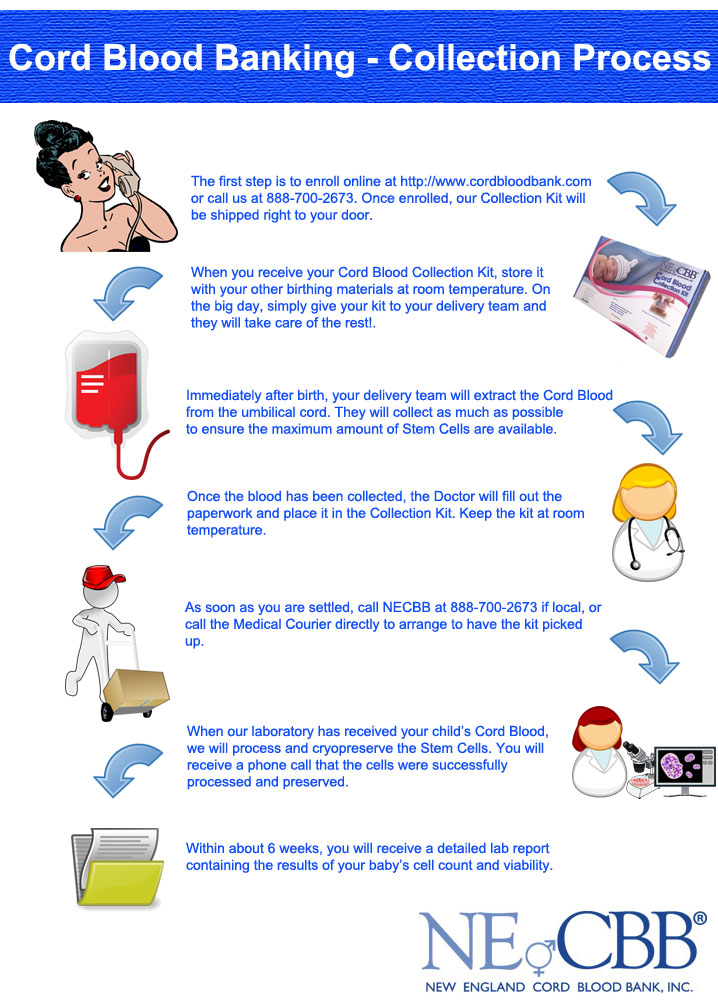 Cord Blood Collection Process