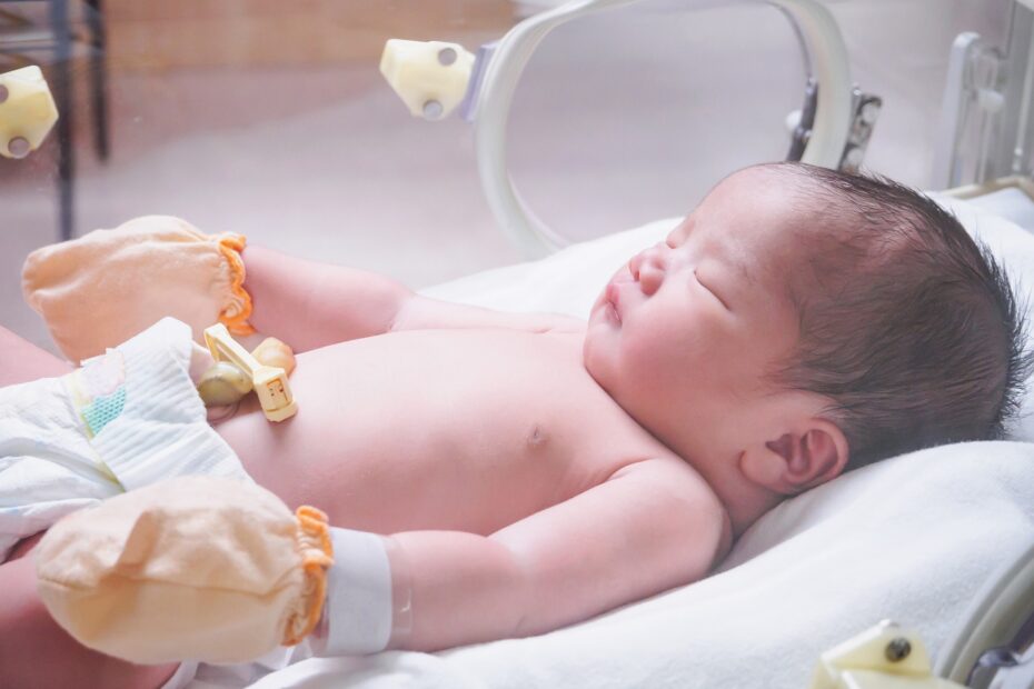 Understanding the Distinctions: Bone Marrow vs. Cord Blood Transplants