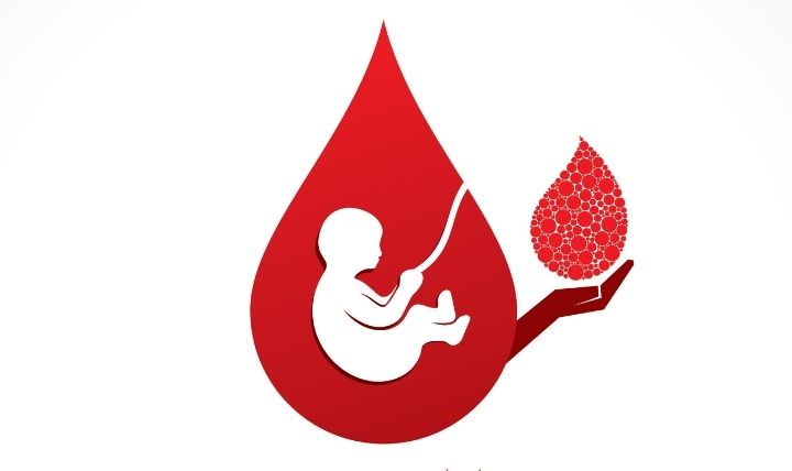 Understanding How Cord Blood Is Collected