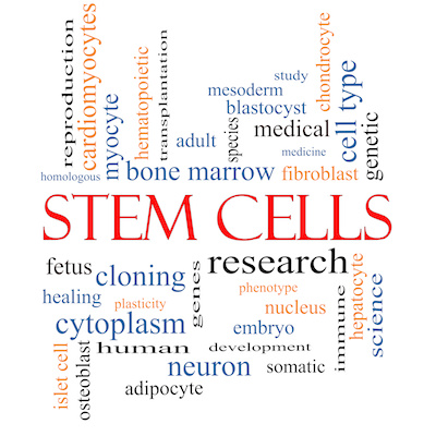 disadvantages of stem cells