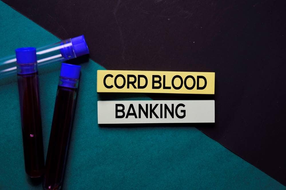 The Cord Blood Timeline Tracing the History of Cord Blood Banking.jpg