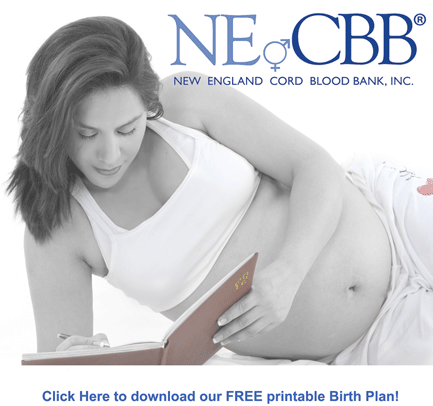 Free Birth Plan