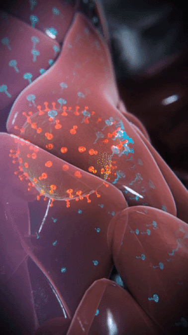 bank cord blood