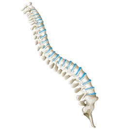 spinal cord injury